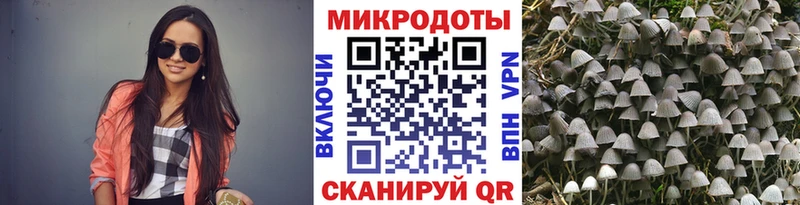 Галлюциногенные грибы MAGIC MUSHROOMS  Назарово 